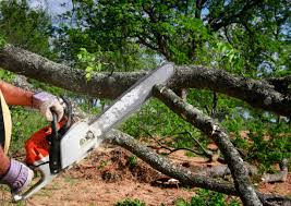 Best Lawn Mowing  in Queen City, TX